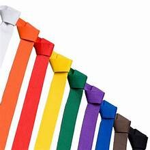 Izabela Čajková, naša študentka,  je vicemajsterka Európy v karate