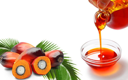 Je palmový olej skutečnou hrozbou?